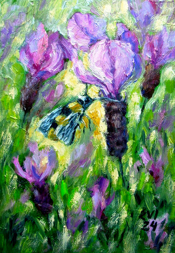 Bee lavender original oil - lavender,