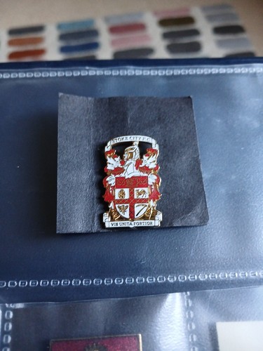 Stoke city badge - stoke,