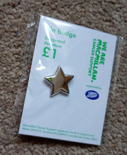 Silver Colour Star Pin Badge -