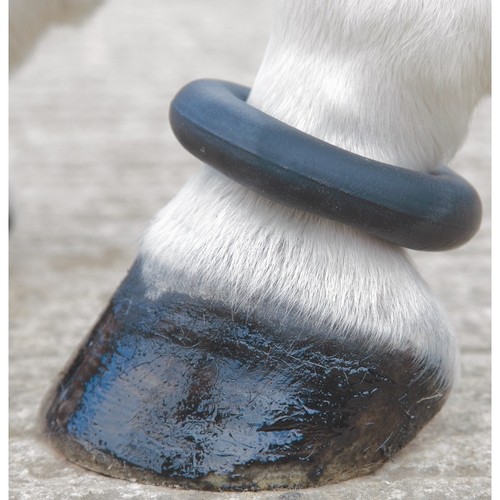 Shires fetlock ring - fetlock,