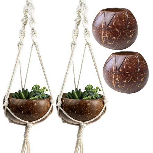 Set coconut shell - 4,