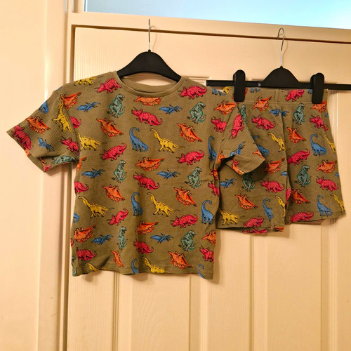Boys dinosaur 2pc waffle - tu,
