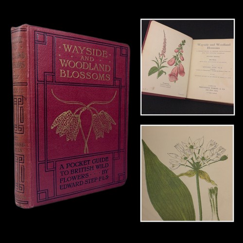 Wayside woodland blossoms - wayside, &