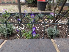 Wire Border Fencing Green