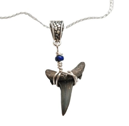 Sand shark tooth necklace - , with