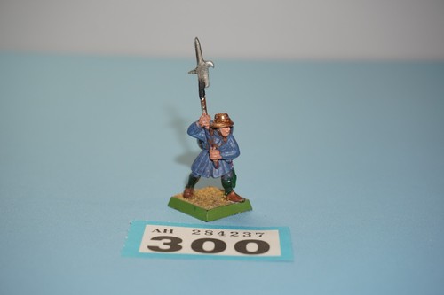 Warhammer fantasy bretonnian - fantasy,
