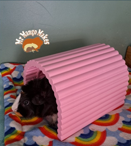 Guinea pig tunnel - guinea, tunnel,