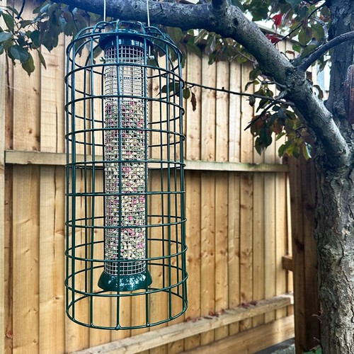 Squirrel proof cage for - squirrel,