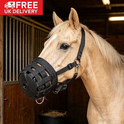 Comfort horse grazing muzzle - horse,