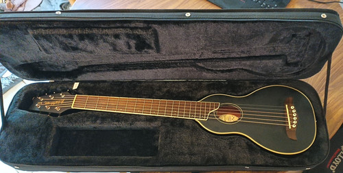 Washburn rover acoustic - washburn,