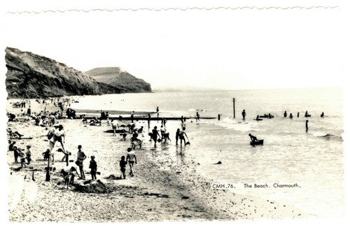 Dorset charmouth beach - charmouth, real