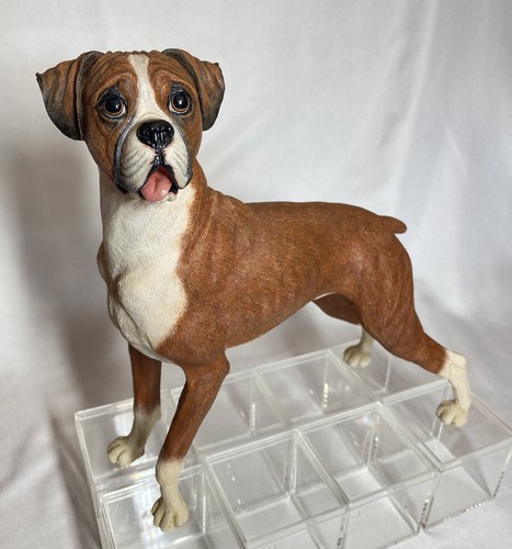 The loyal boxer - boxer, limited