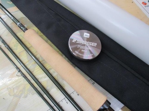 Sage fly rod - fly, #3