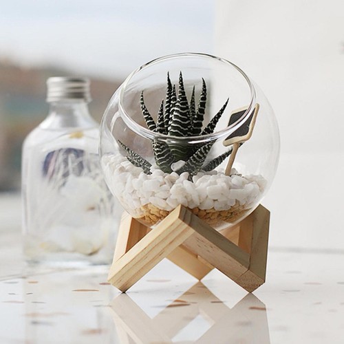 Glass flowerpot horticultural - glass,