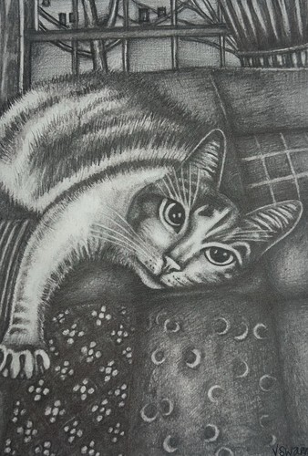 Cat portrait hand finished - portrait.,