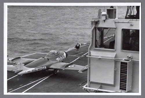 Havilland sea venom 893 - de,
