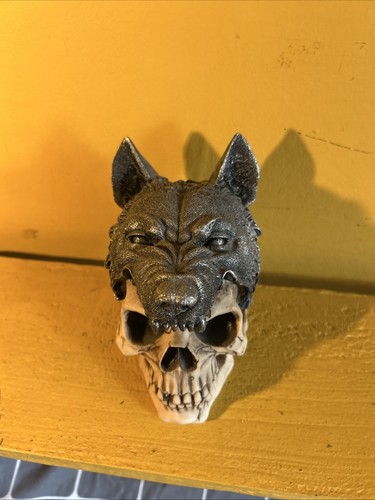 Medium sized grey - grey, wolf
