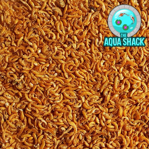Freeze dried gammarus shrimp - freeze,