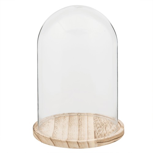 Glass cloche belljar light - belljar,