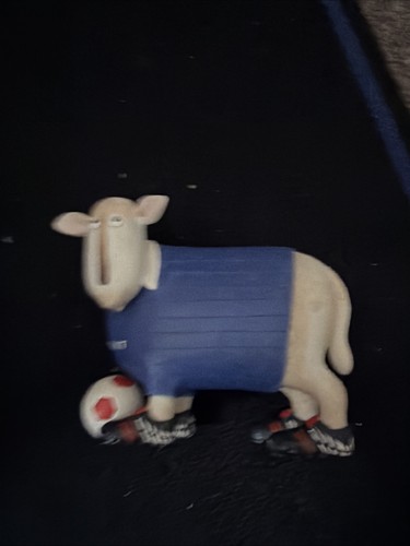 Ewe and sporting - ewe,