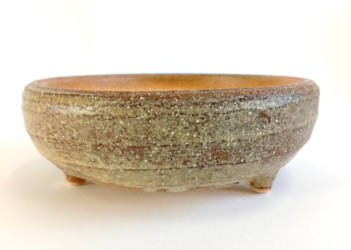 Shigaraki ware bonsai pot - shigaraki,