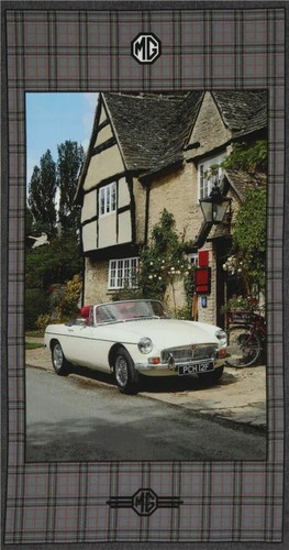 Vintage white car scene - vintage,