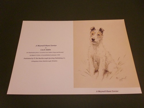 Cecil aldin card meynell - cecil,