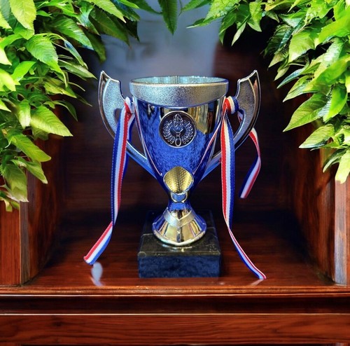 Silver cup trophy equestrian - silver,