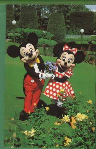 Vintage disney postcard mickey - vintage,
