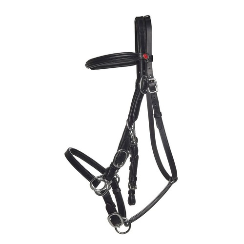 Kieffer combi bridle - kieffer,