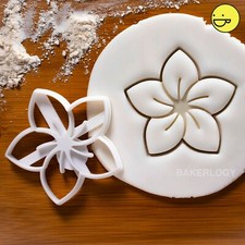 Frangipani Flower cookie