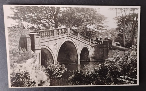Wrightington fish pond bridge - fish,