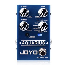 Delay/Loop Ambient Guitar