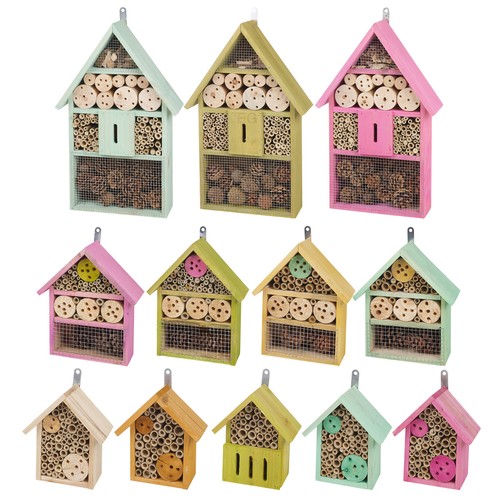 Small large wooden insect - small,