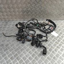 TRIUMPH THRUXTON Wiring