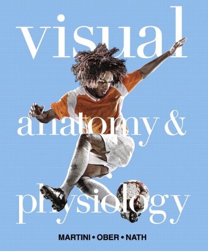 Visual anatomy - anatomy, &