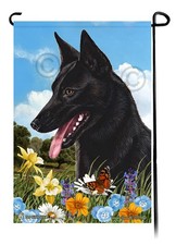 Dutch Shepherd Summer Flowers