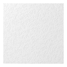 Superfresco Paintable