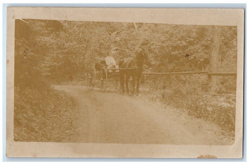 C1910 boy horse and - boy, buggy