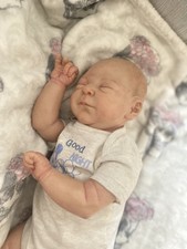 Realistic Reborn Baby with Painted Hair, Magnetic Dummy & Outfit by Emily mould 