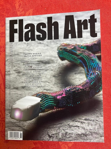 Flash art magazine - flash,