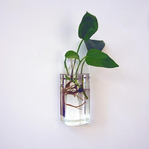 Rectangle hanging glass - hanging,