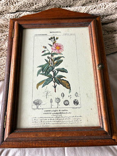 Vintage italian botanical wood - vintage,