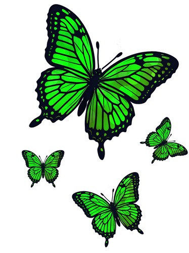 Set green butterflies - set,