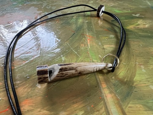 Sika deer antler dog - deer,