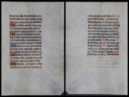 Illuminated manuscript - manuscript, on