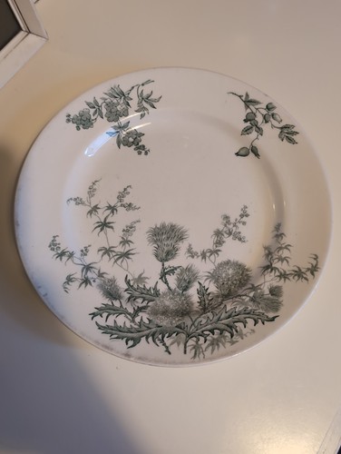 English plate ironstone - plate, floral