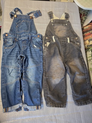Toddler boy 24 - boy, 18-24