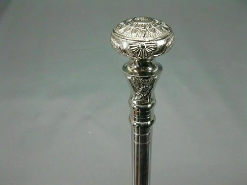 Stainless steel walking hiking - steel,