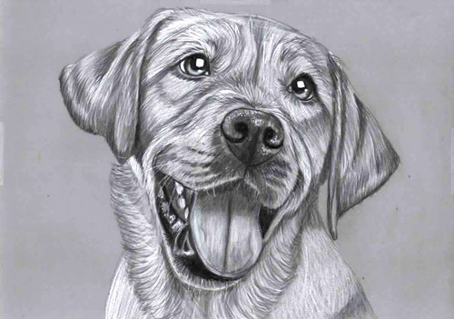 Original pencil drawing - original,